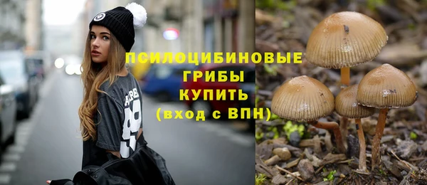 СК Алексеевка