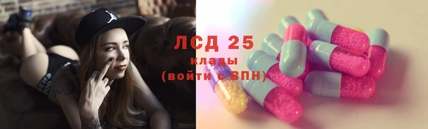 ешки Алексин