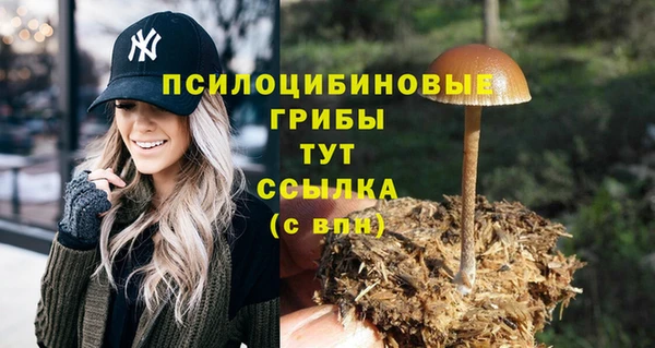 амфетамин Абинск
