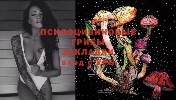 СК Алексеевка