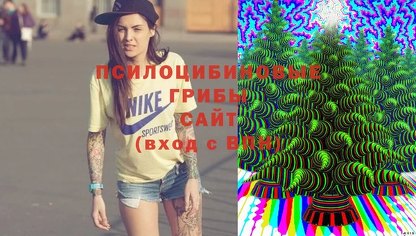 а пвп мука Абаза