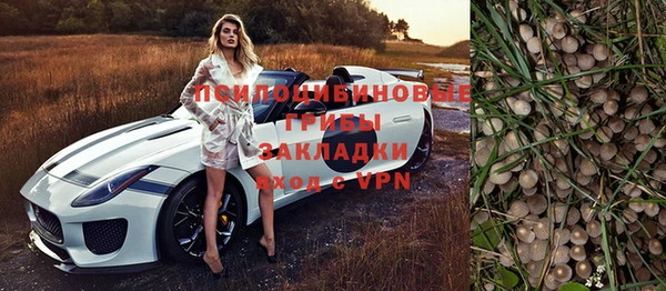 а пвп мука Абаза