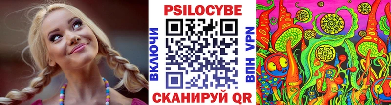 продажа наркотиков Элиста Псилоцибиновые грибы MAGIC MUSHROOMS